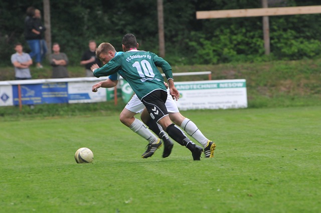 诊断结果显 诊断结果显