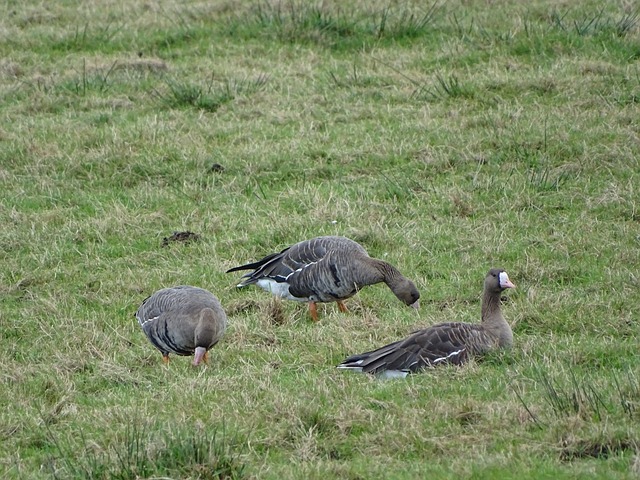 的評論集中 的評論集中