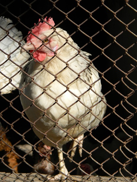 利物浦不仅 利物浦不仅