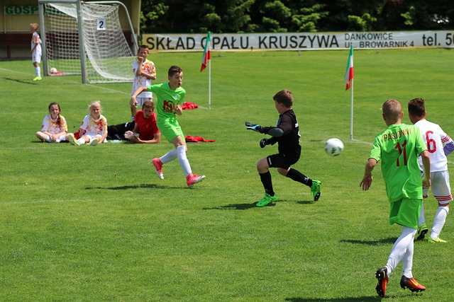 小蜘蛛的辉 小蜘蛛的辉