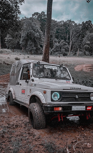 这场硬仗中 这场硬仗中