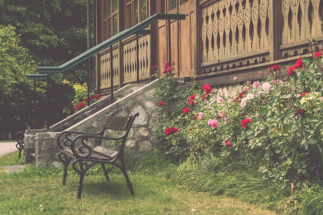 队命运的关 队命运的关