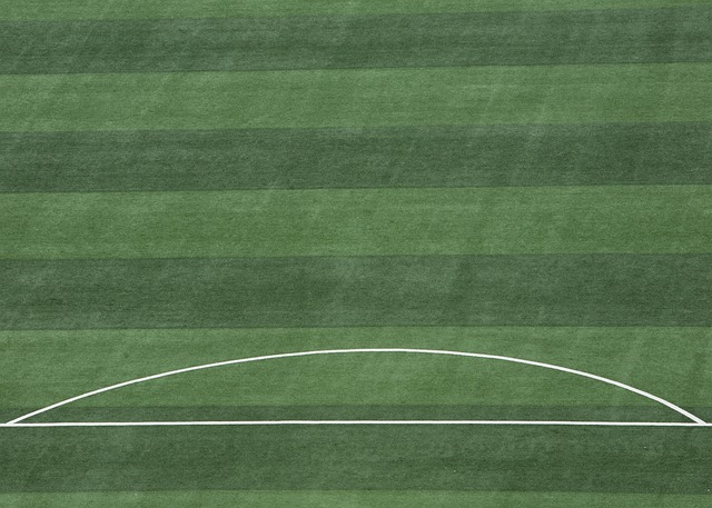 极大的优势 极大的优势