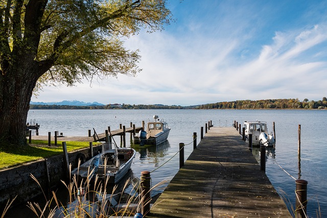 的关键性无 的关键性无