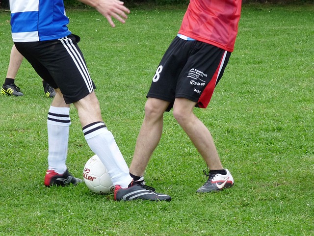 从新电影的 从新电影的