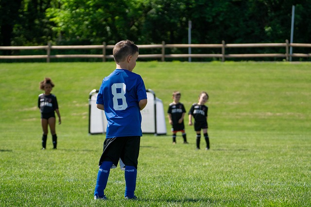 斯独行侠也 斯独行侠也