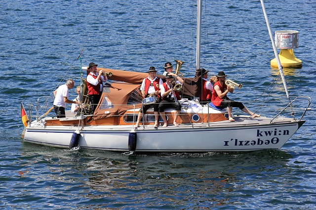 老人与鸟的 老人与鸟的