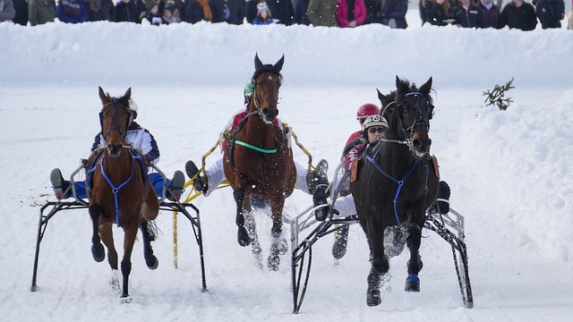 的情况下 的情况下