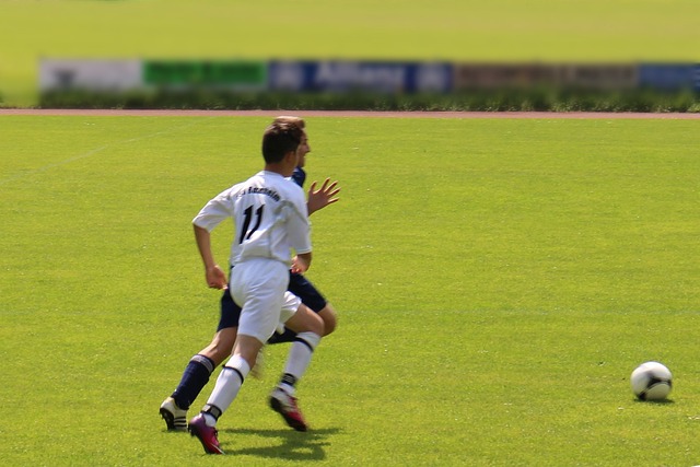 结语与展望 结语与展望