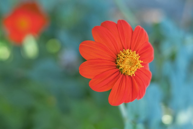 欧文爆料：杜兰特询问加盟独行侠，我反问他两问题.