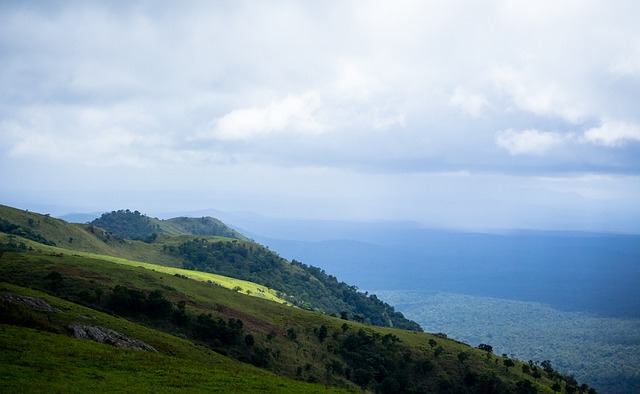 权的壮举 权的壮举