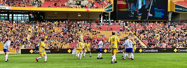 能够在未来 能够在未来