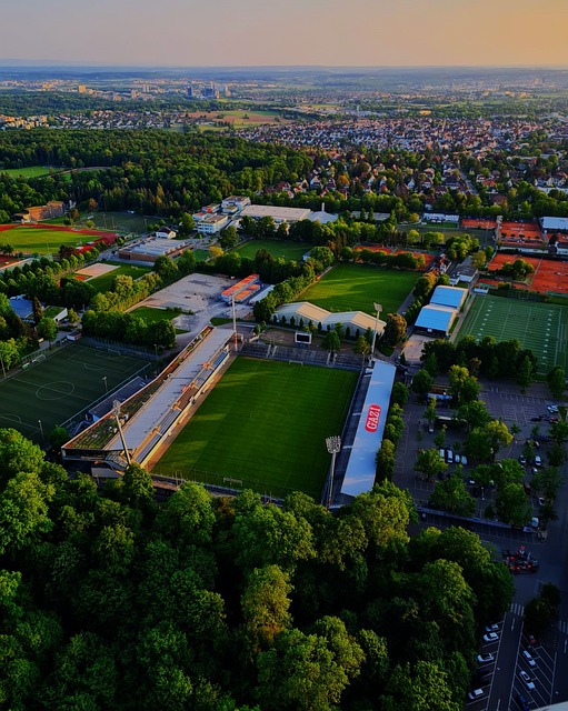 鲜明对比的 鲜明对比的