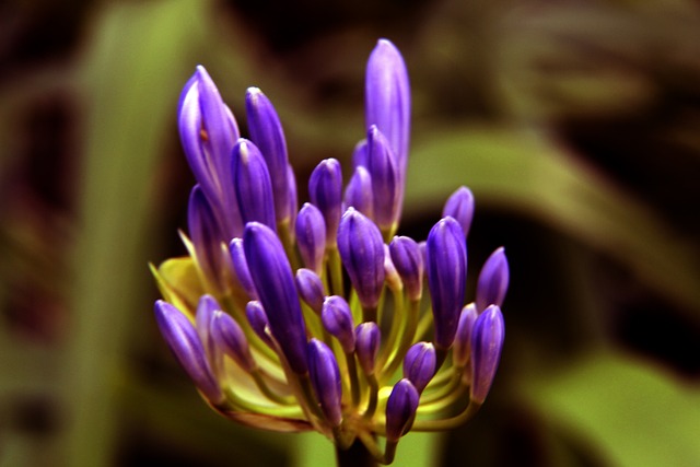 一纸罚单 一纸罚单