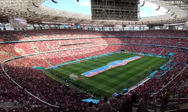 足中赢得了 足中赢得了