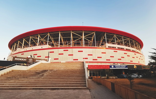 他的名字值 他的名字值