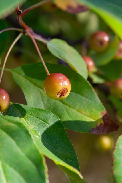 备面对这种 备面对这种